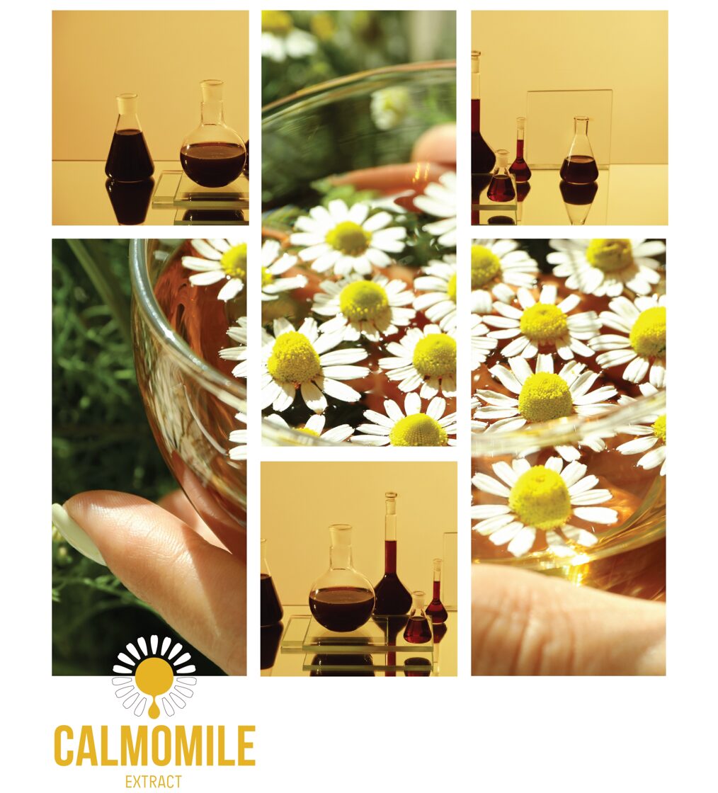 Calmomile_1.jpg