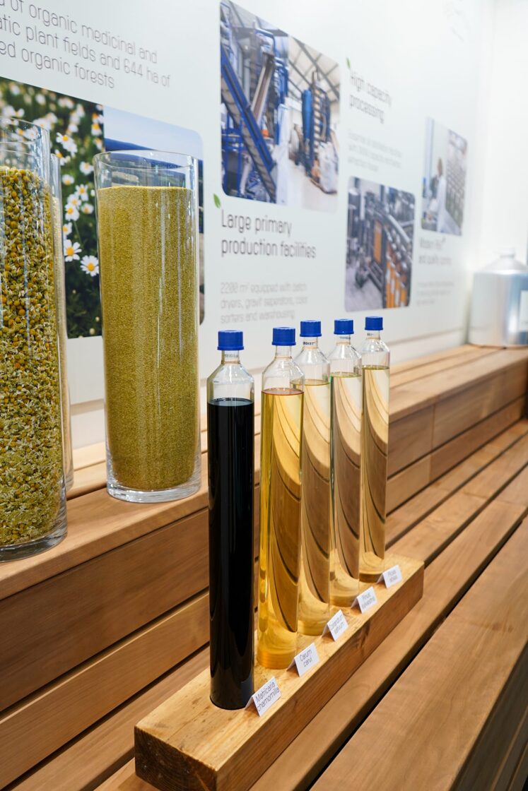 Field and Forest essential oils