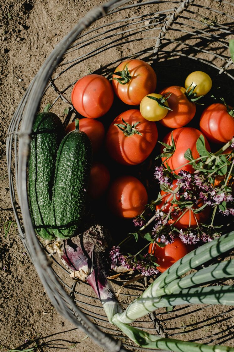 healthy, chemical free vegetables